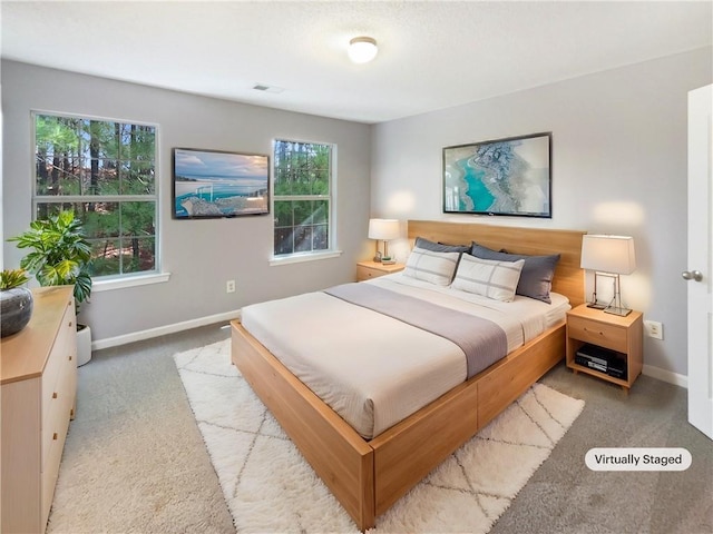 453 Inkberry Dr, Atlanta, GA 30349 - bedroom with light carpet and multiple windows