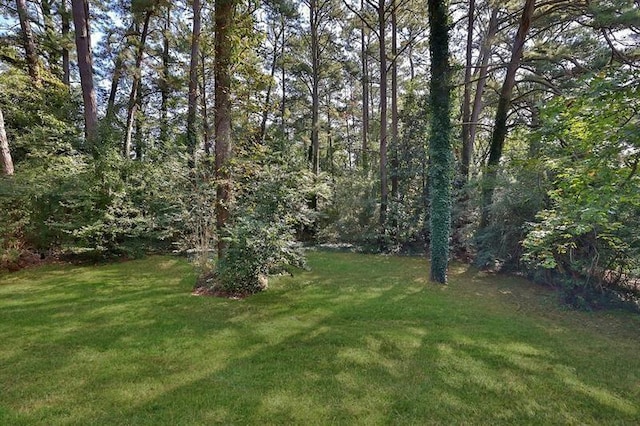 1770 Austin Dr, Decatur, GA 30032 - view of grassy yard