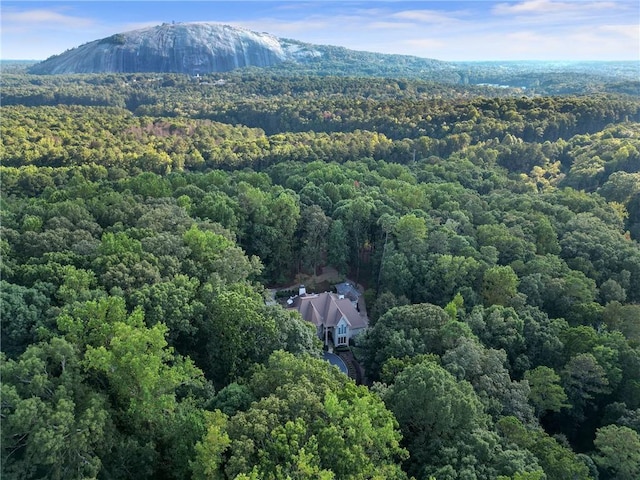 1500 Historic Vw, Stone Mountain, GA 30087 - view from above of property with a heavily wooded area and mountains