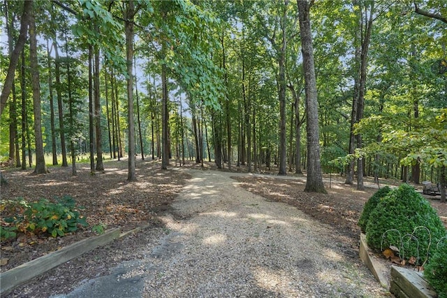 1500 Historic Vw, Stone Mountain, GA 30087 - view of street with a wooded view