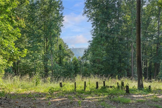 1500 Historic Vw, Stone Mountain, GA 30087 - view of mountain background with a heavily wooded area