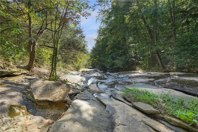 1500 Historic Vw, Stone Mountain, GA 30087 - view of wooded area