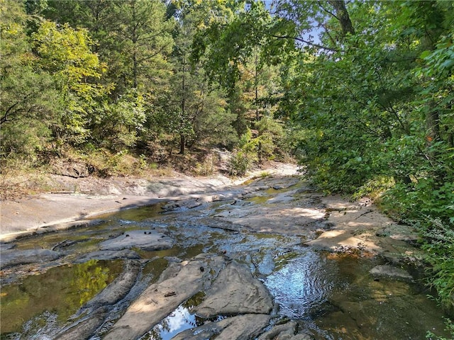 1500 Historic Vw, Stone Mountain, GA 30087 - view of tree filled area