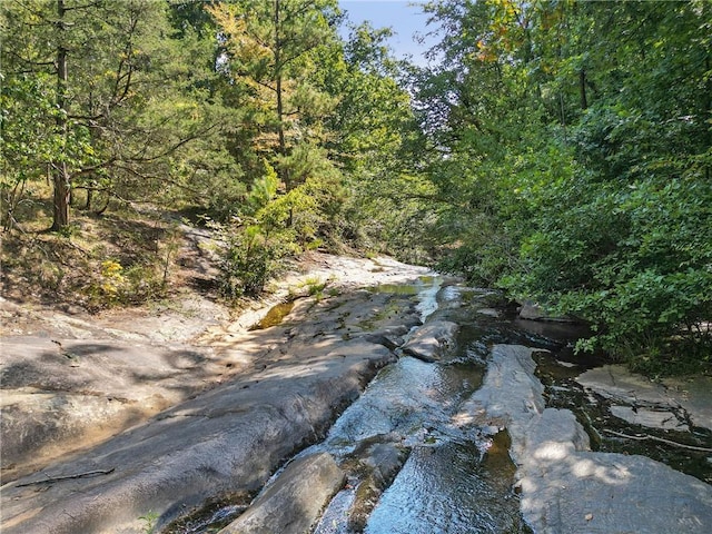 1500 Historic Vw, Stone Mountain, GA 30087 - exterior view of a forest