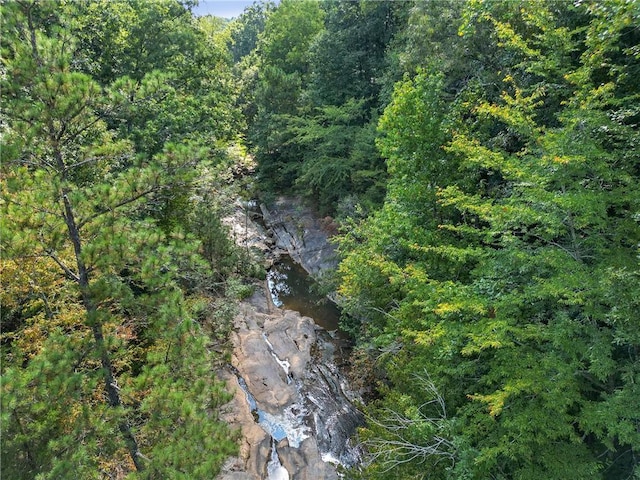1500 Historic Vw, Stone Mountain, GA 30087 - view of woods