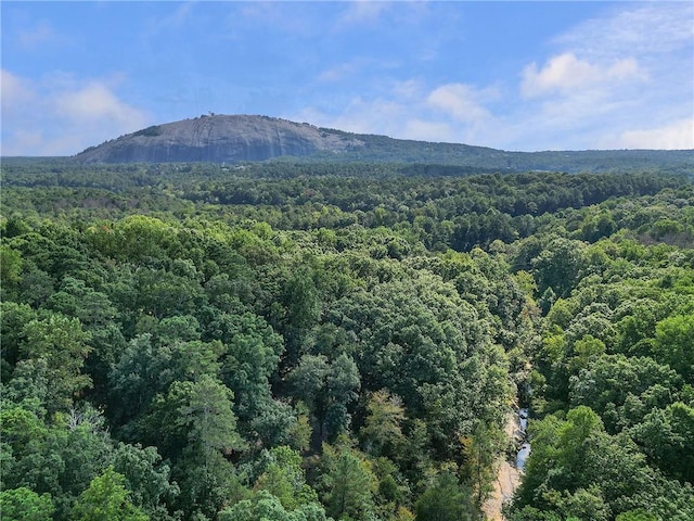 1500 Historic Vw, Stone Mountain, GA 30087 - view of mountain backdrop with a forest