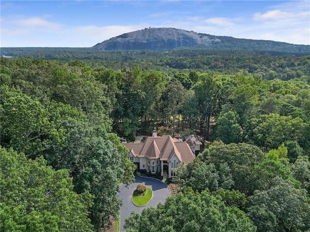 1500 Historic Vw, Stone Mountain, GA 30087 - view of subject property featuring a heavily wooded area and a mountainous background