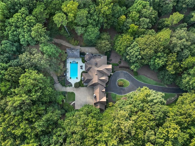1500 Historic Vw, Stone Mountain, GA 30087 - bird's eye view of a pool area