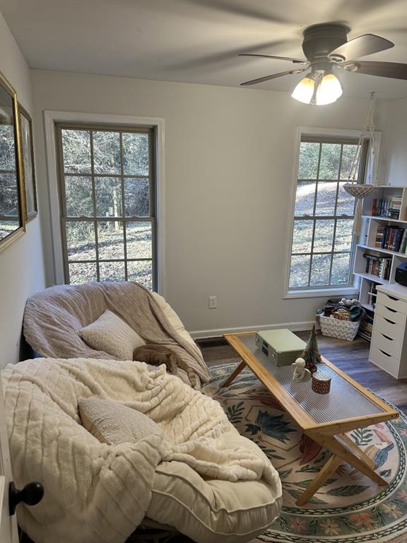 living room featuring ceiling fan and dark hardwood / wood-style floors