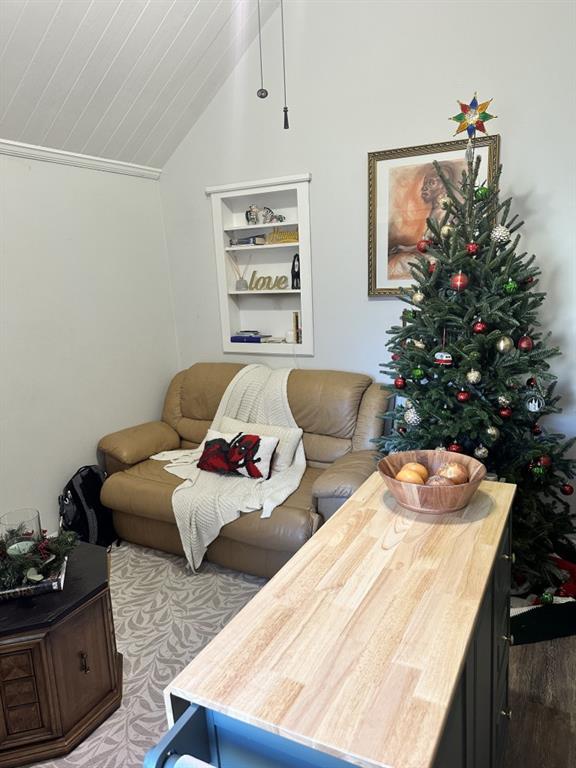 living room with vaulted ceiling and built in features