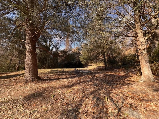 view of landscape