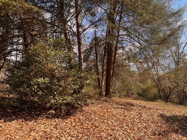 view of landscape