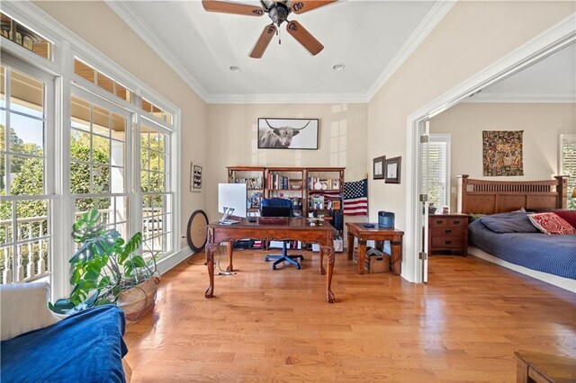 home office featuring crown molding, ceiling fan, and light wood-type flooring