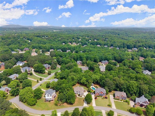 aerial perspective of suburban area with a forest