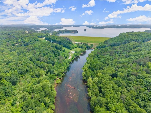 aerial view of a large body of water and a forest