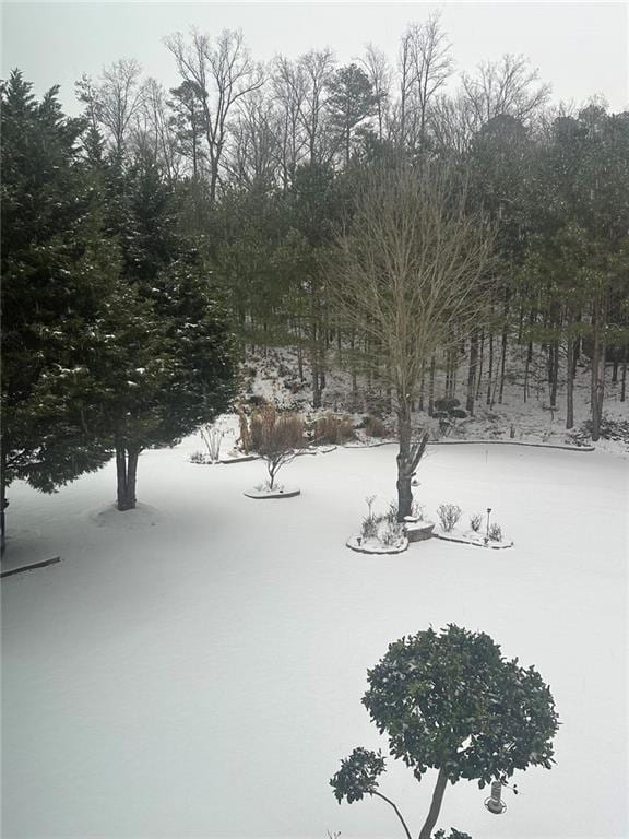 view of yard layered in snow