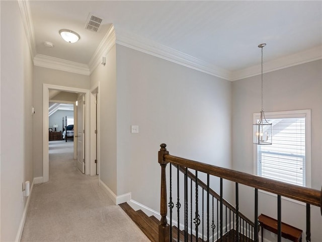 hall featuring ornamental molding, a chandelier, and carpet flooring