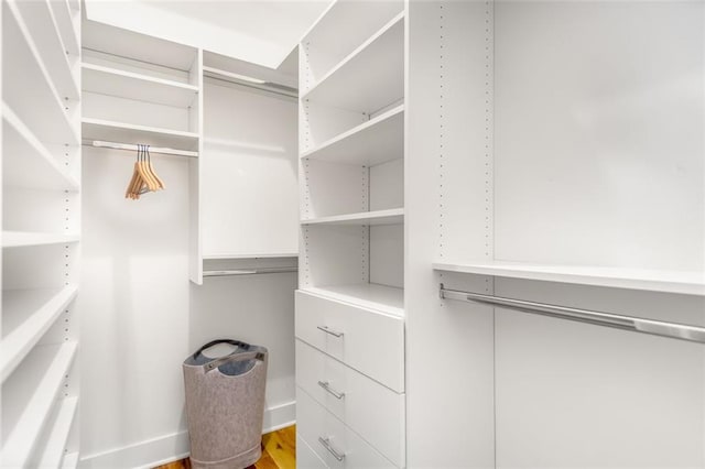 167 Sampson St NE, Atlanta, GA 30312 - view of walk in closet