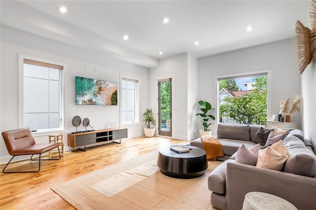 167 Sampson St NE, Atlanta, GA 30312 - living area with wood finished floors and recessed lighting