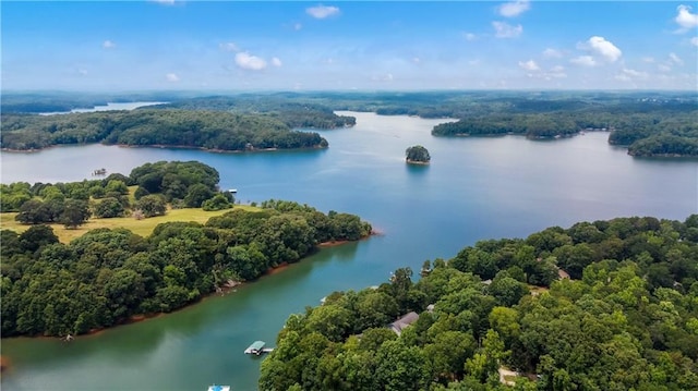 24 Arrow Ct, Lavonia, GA 30553 - bird's eye view of a forest and a nearby body of water