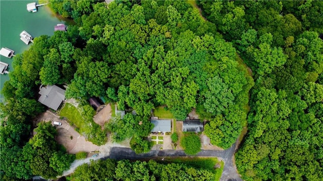 24 Arrow Ct, Lavonia, GA 30553 - aerial view of property's location
