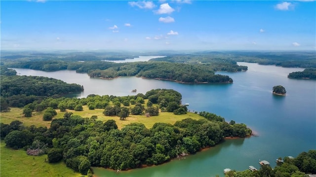 24 Arrow Ct, Lavonia, GA 30553 - bird's eye view of a large body of water