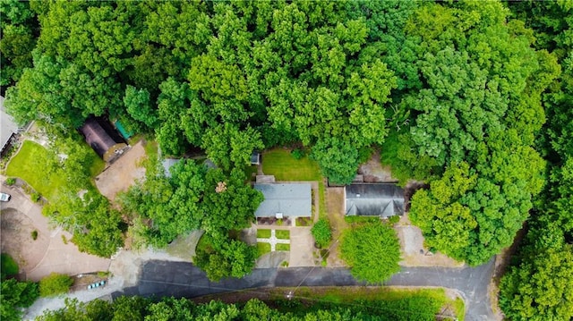 24 Arrow Ct, Lavonia, GA 30553 - aerial view of property and surrounding area
