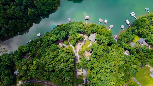 24 Arrow Ct, Lavonia, GA 30553 - aerial overview of property's location with a large body of water
