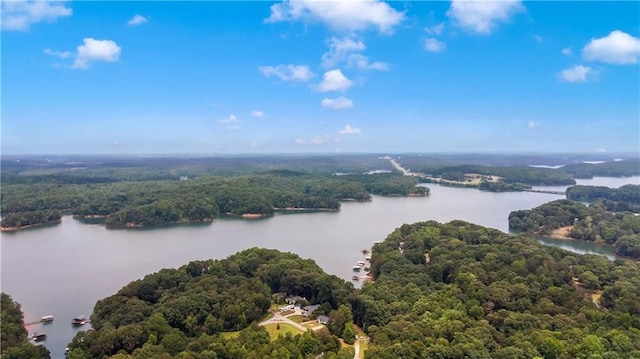 24 Arrow Ct, Lavonia, GA 30553 - drone / aerial view of a heavily wooded area and a nearby body of water