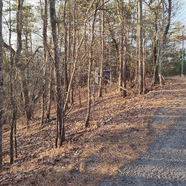 332 Paladin Dr NE, Ranger GA, 30734 land for sale