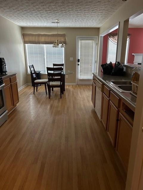 kitchen with a notable chandelier, hanging light fixtures, hardwood / wood-style flooring, stainless steel counters, and stainless steel dishwasher