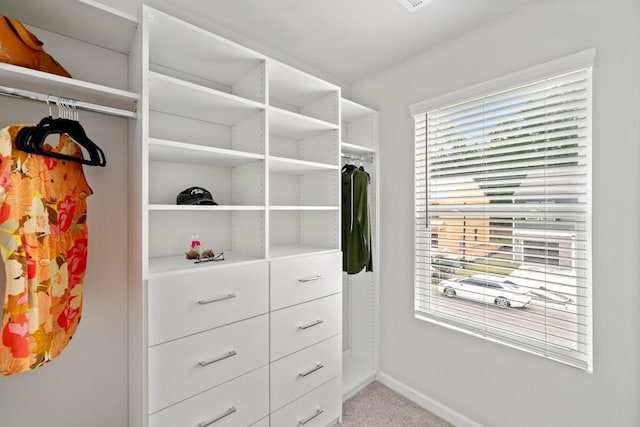 spacious closet with light carpet