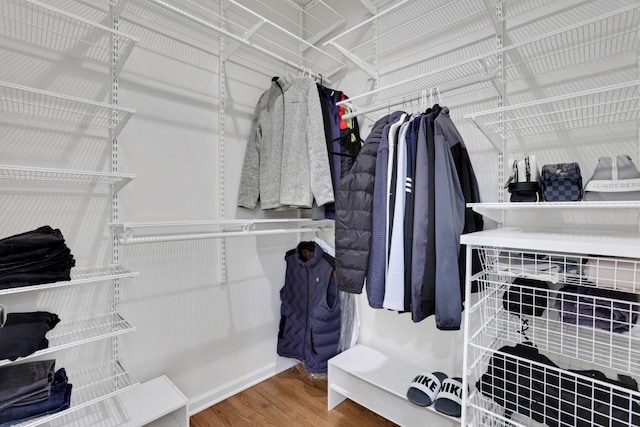 walk in closet featuring wood finished floors