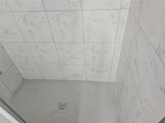 interior details featuring a tile shower