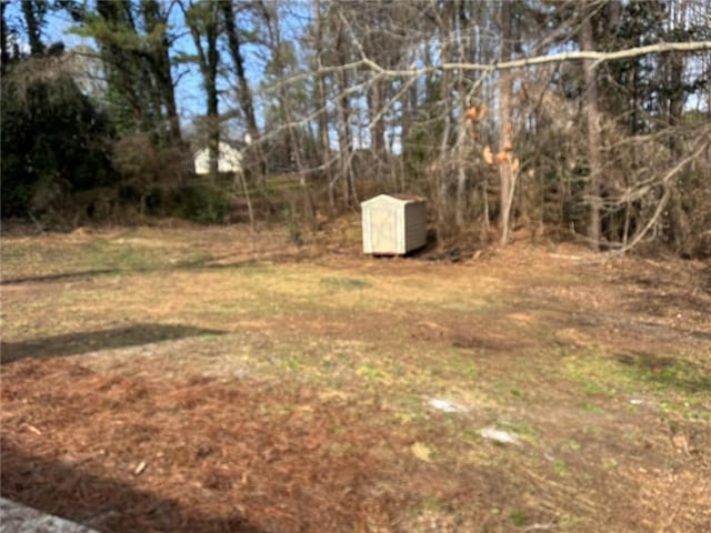 view of yard featuring an outbuilding and a storage unit