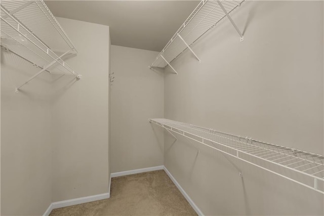 559 Myrle Trace Ln, Suwanee, GA 30024 - walk in closet with light carpet