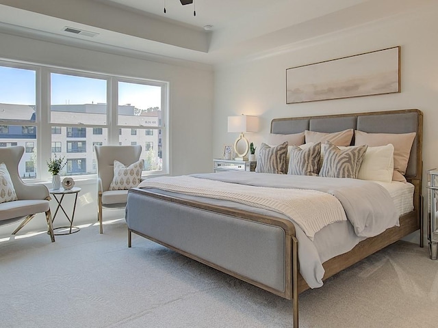 bedroom with carpet and a tray ceiling