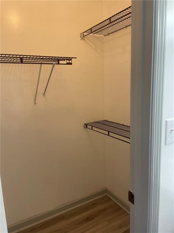 spacious closet featuring wood-type flooring