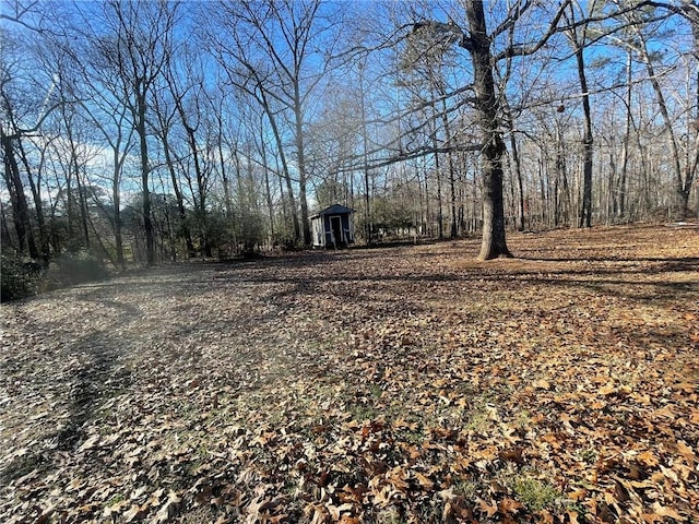 view of yard featuring a shed