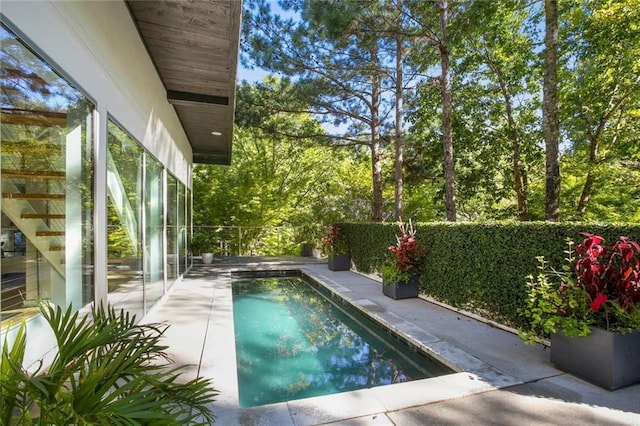 view of swimming pool featuring a patio