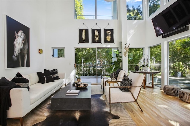 living room featuring hardwood / wood-style flooring and a high ceiling