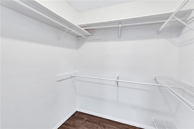 walk in closet featuring wood-type flooring