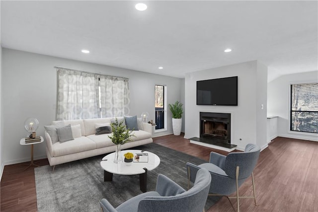 living room with dark hardwood / wood-style floors