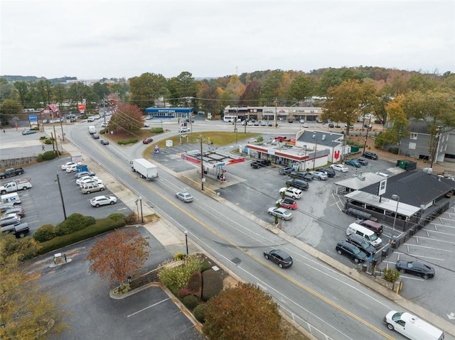 view of bird's eye view