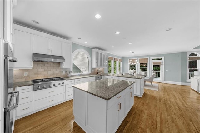 745 Glengate Pl, Atlanta, GA 30328 - kitchen with appliances with stainless steel finishes, under cabinet range hood, a peninsula, white cabinetry, and light wood-type flooring
