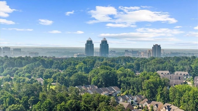745 Glengate Pl, Atlanta, GA 30328 - aerial view of a forest