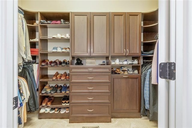 view of spacious closet