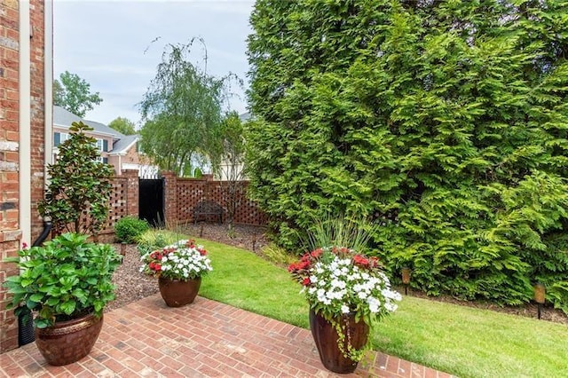 view of yard with a patio area and fence