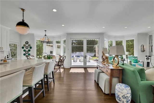 interior space with plenty of natural light, dark wood-type flooring, and french doors