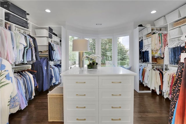 walk in closet featuring dark hardwood / wood-style floors